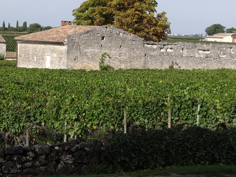 21. Vie St. Emillion