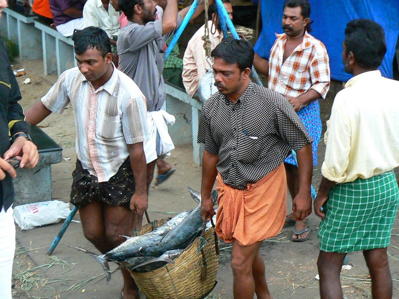 . Pescari