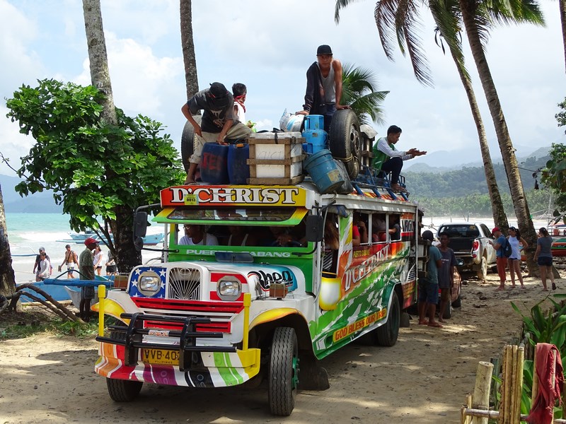 Transport In Comun