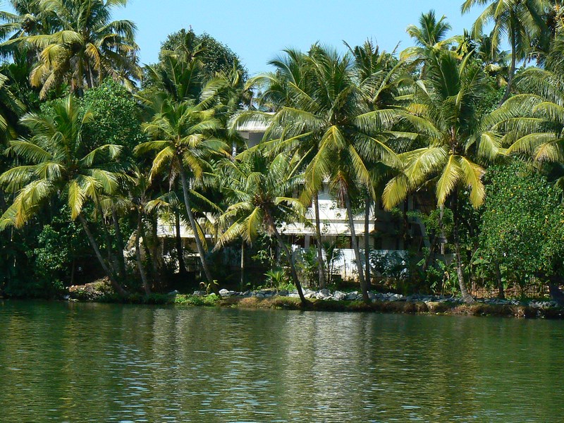 . Palmieri Backwaters