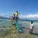 Debarcare Starfish Island