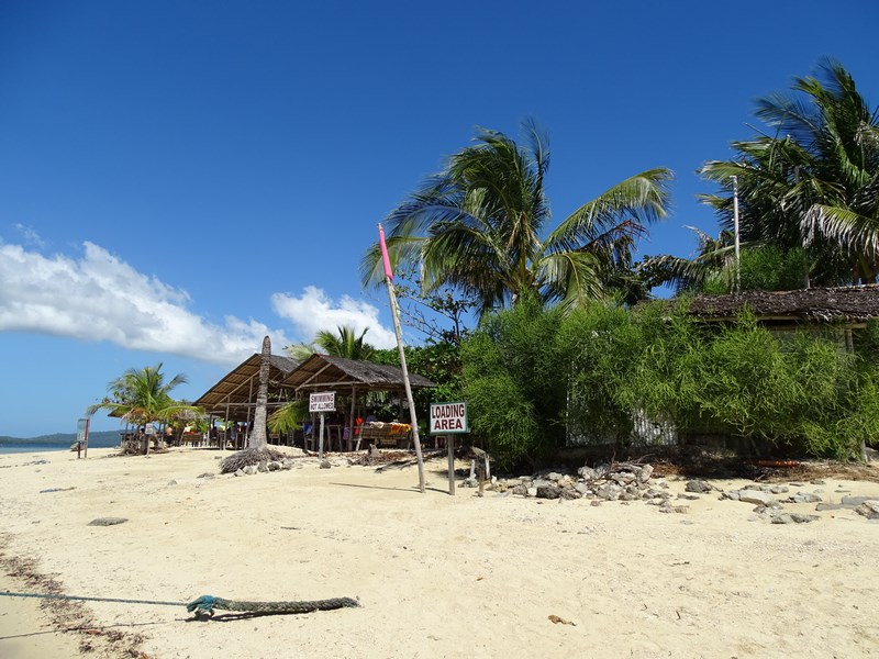 Welcome To Starfish Island