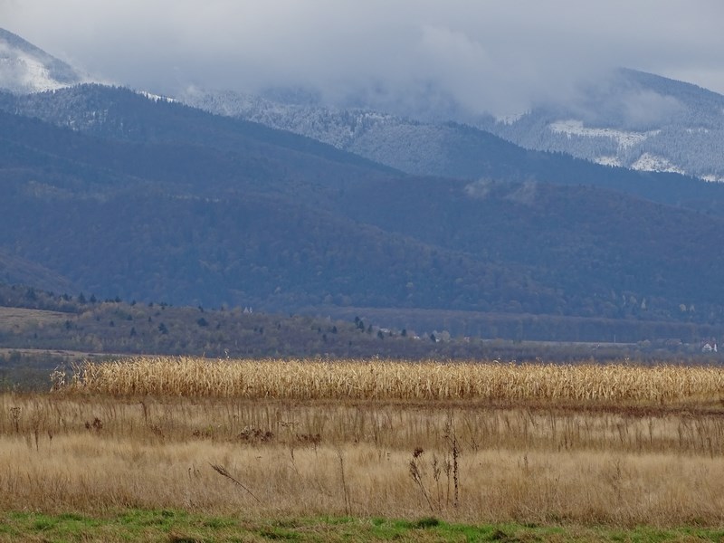Muntii Fagaras