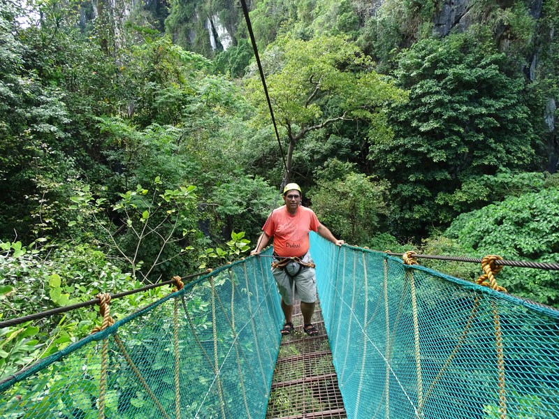 Jungle Canopy El Nido