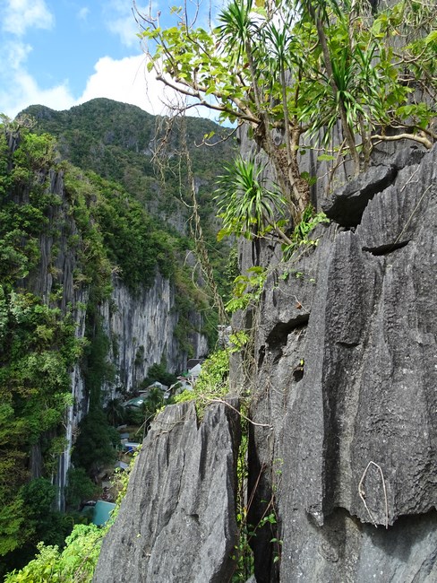 Deal El Nido