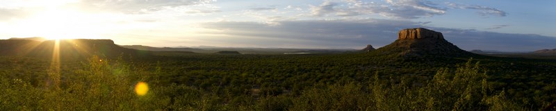 .Namibia Apus In Damaraland