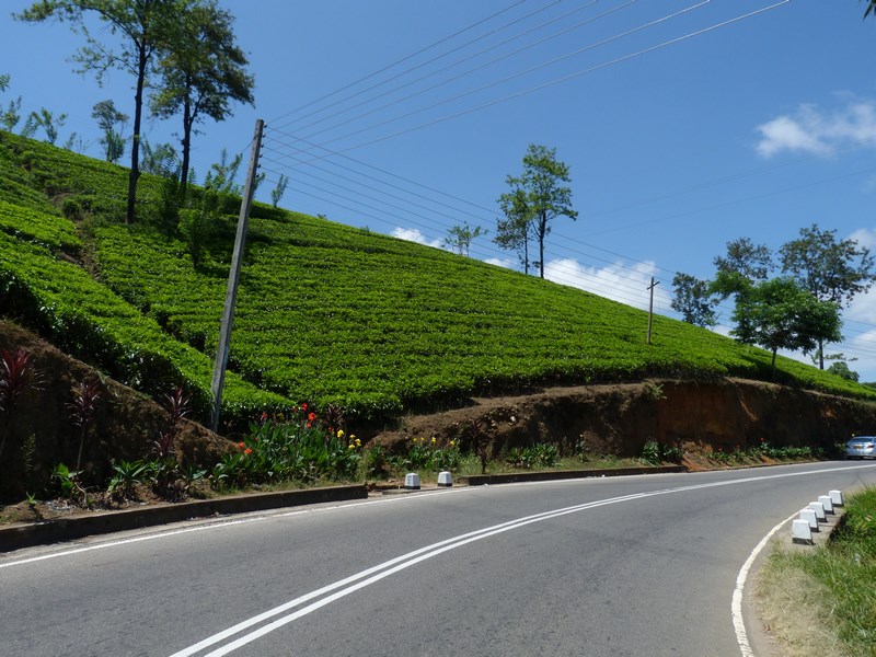 Sosea Spre Nuwara Eliya
