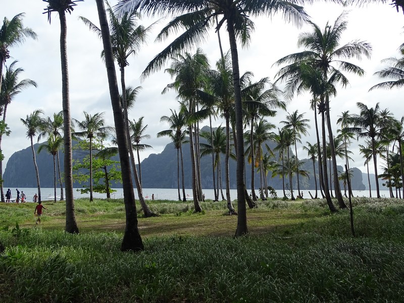 Palawan