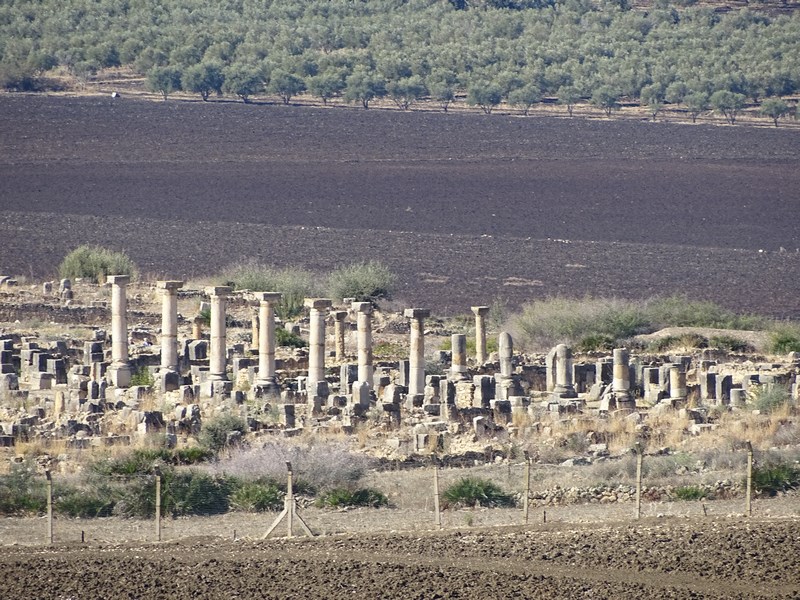 Volubilis