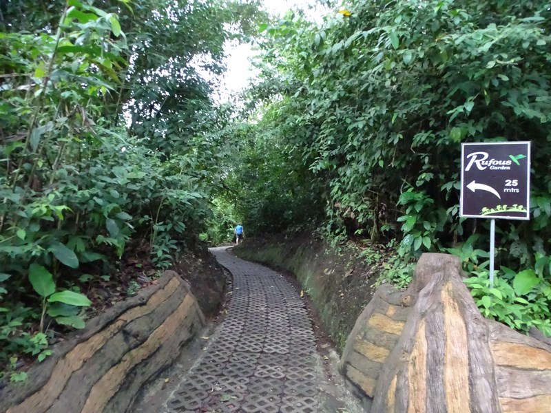 Hanging Bridges Arenal Costa Rica