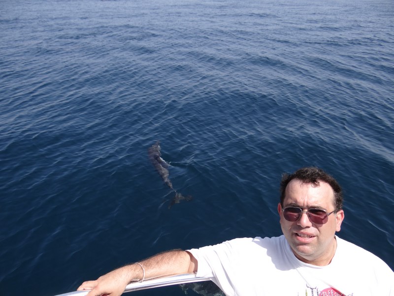 Delfini Muscat