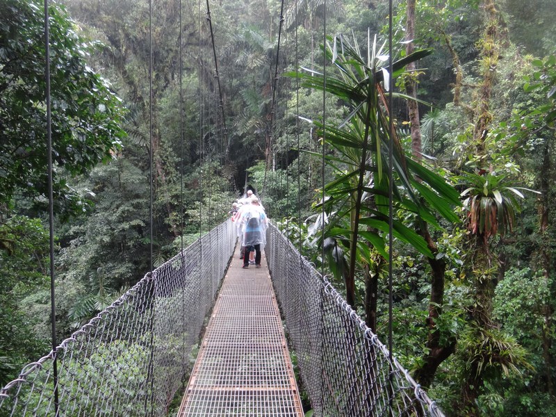 Hanging Bridges Arenal