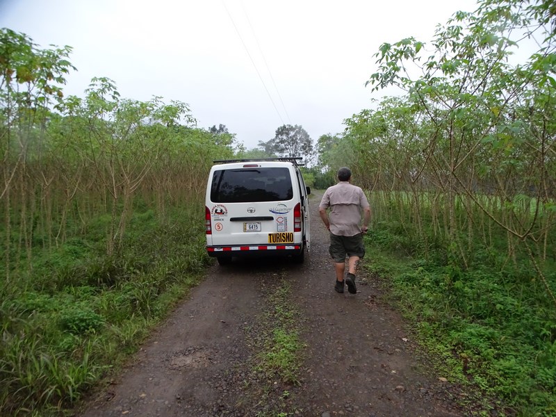 Bird Watching Costa Rica