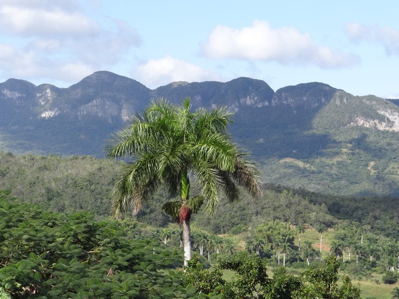 Pinar Del Rio