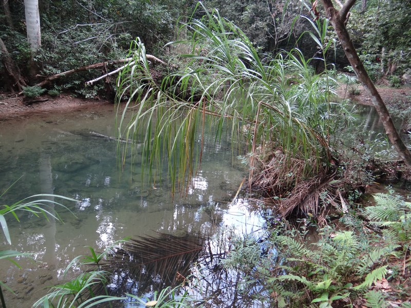 Topes De Collantes