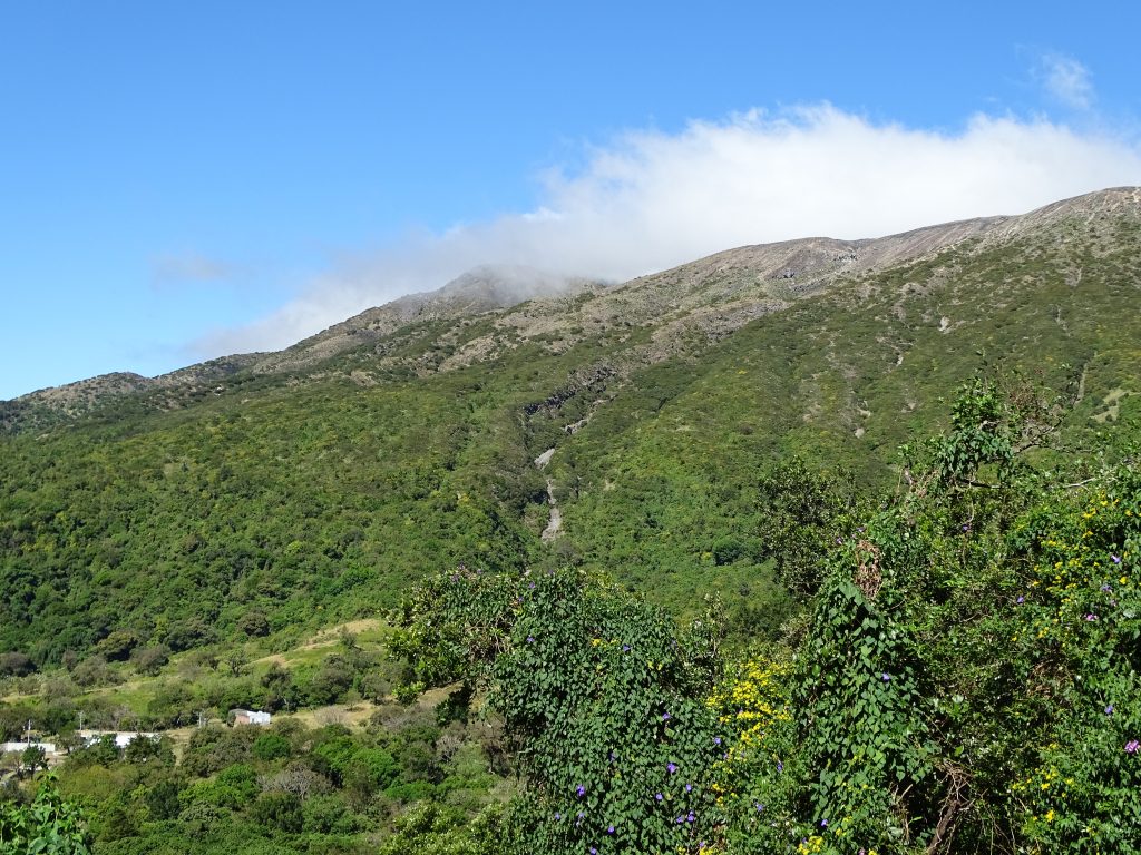 Santa Ana Vulcan