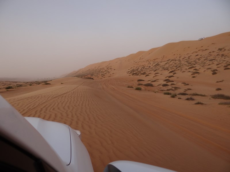 Dune Bashing Arabian Oryx Camp