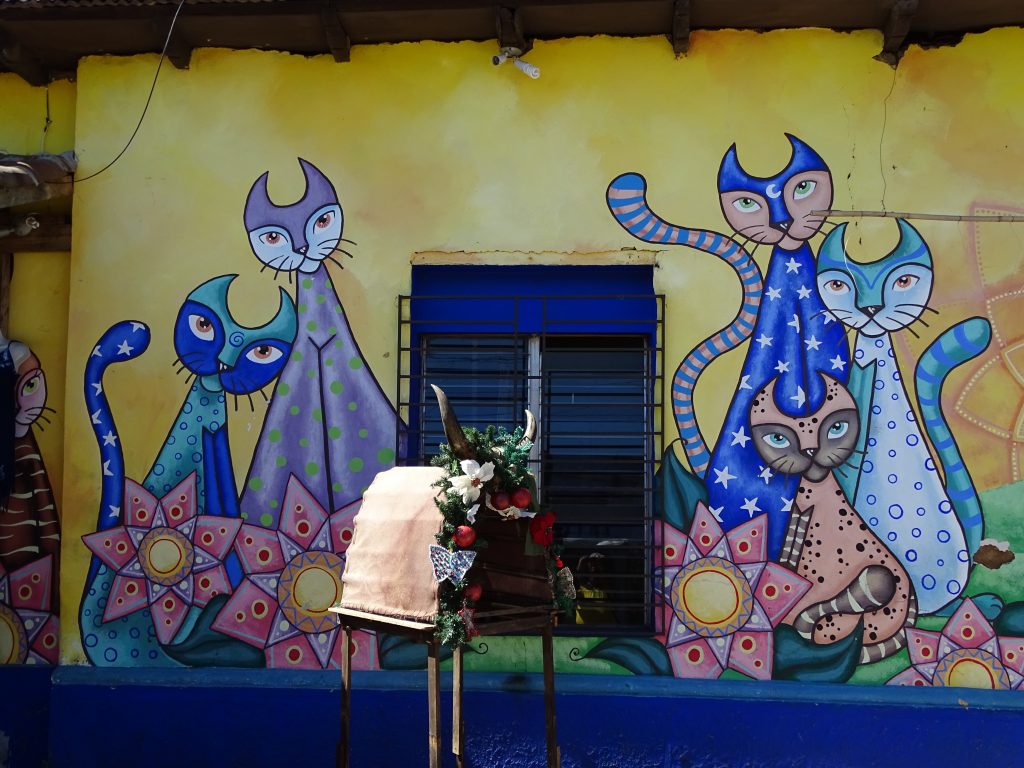 Grafitti Pisici