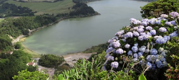 Azore