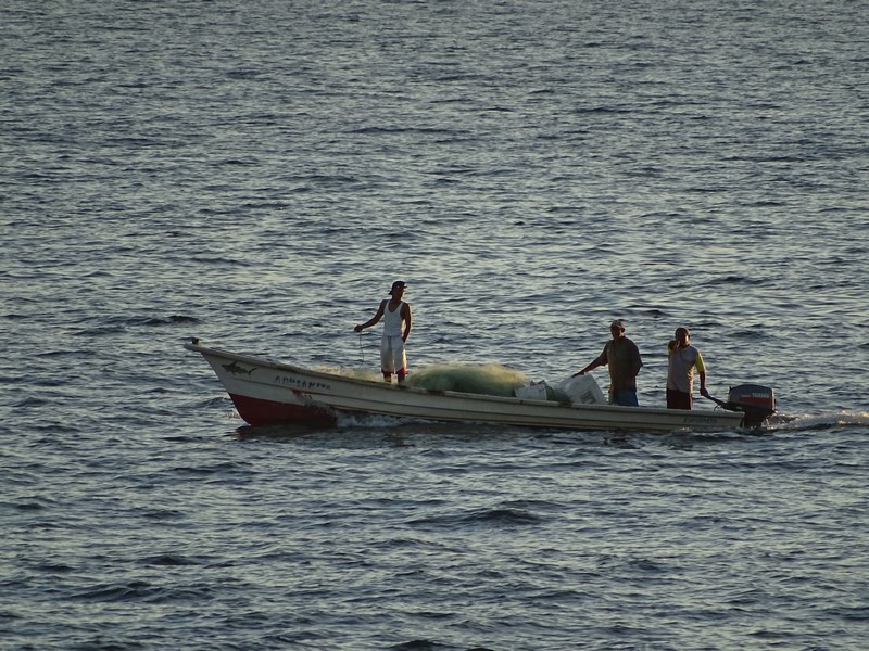 Pescari Seara