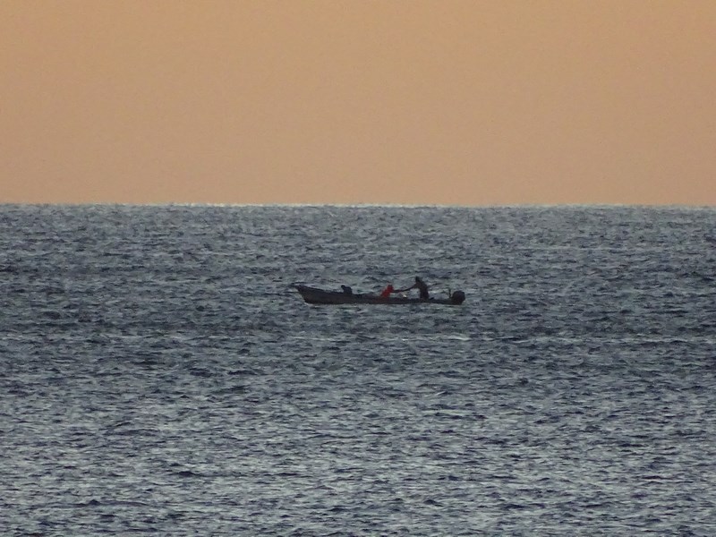 Pescari Dimineata