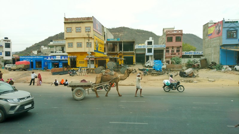 Camila In India