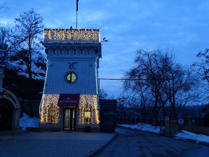 Turnul De La Cricova