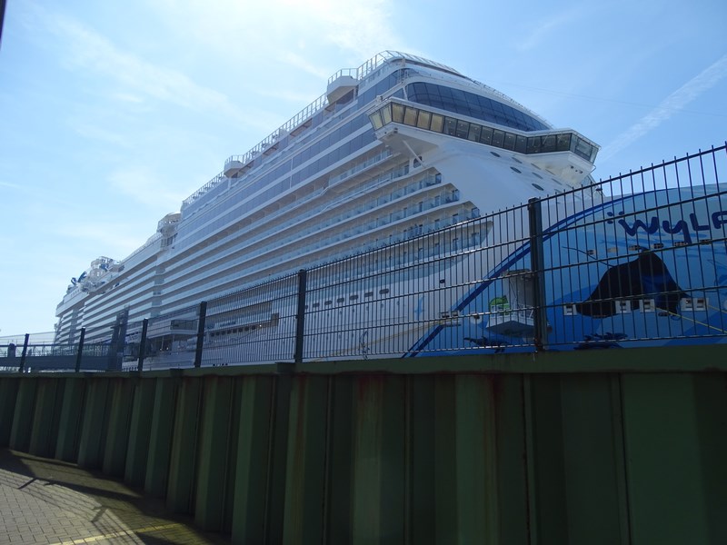 Norwegian Bliss