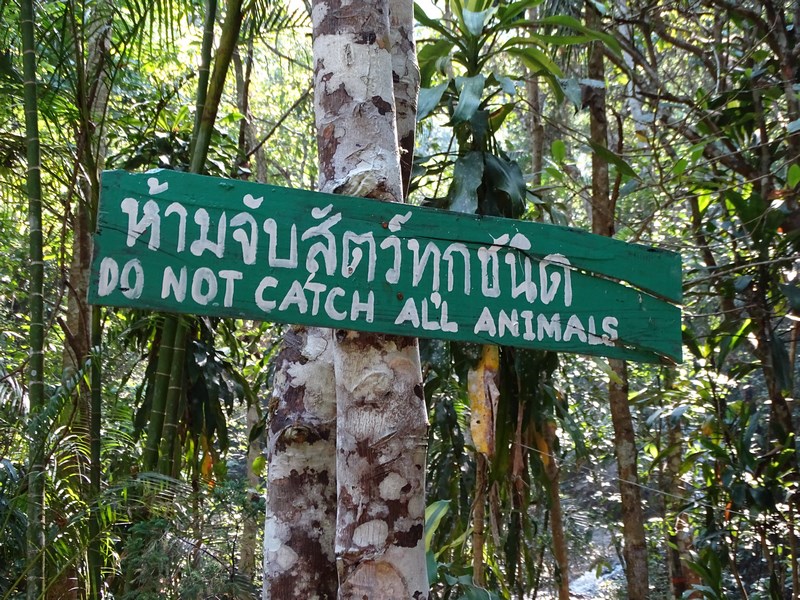 Avertisment Thailanda