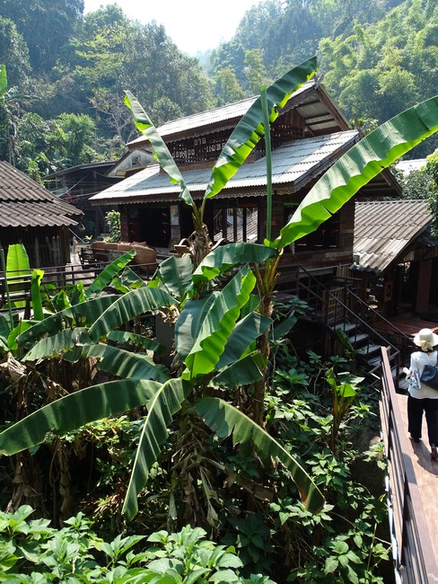 Sat Thailandez