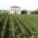 St Emilion Bordeaux