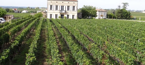 St Emilion Bordeaux