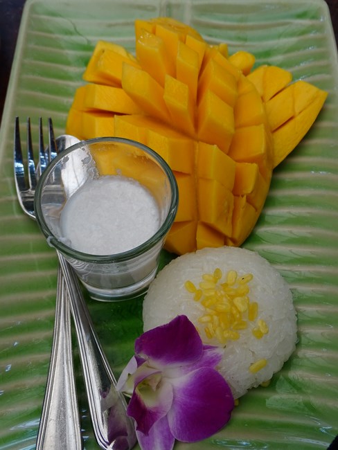 Mango Sticky Rice Thailand