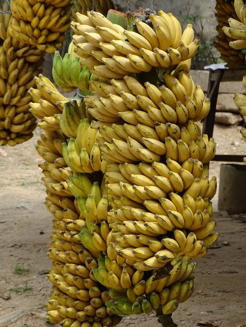 Banane