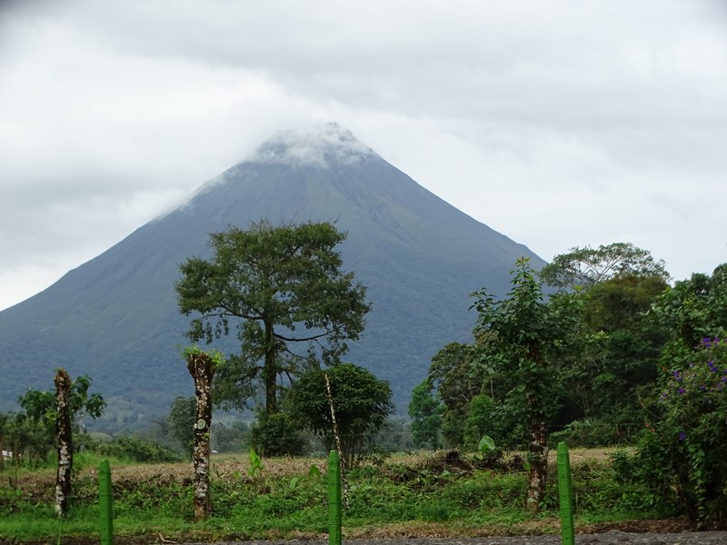 Arenal
