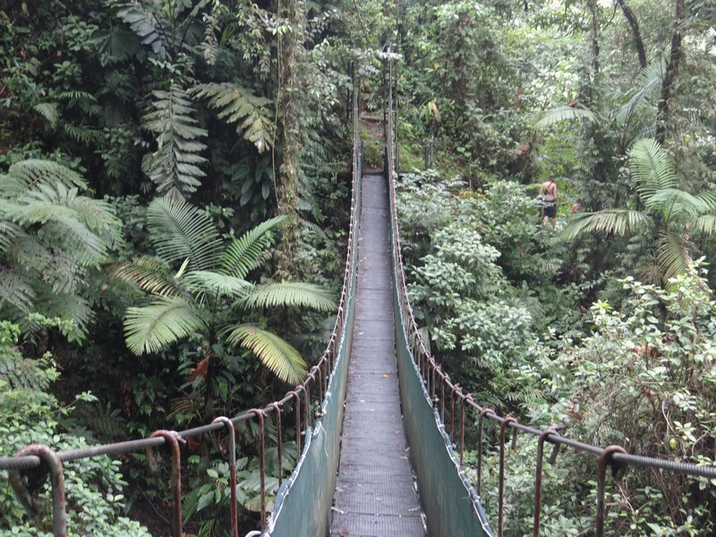 Hanging Bridges Costa Rica