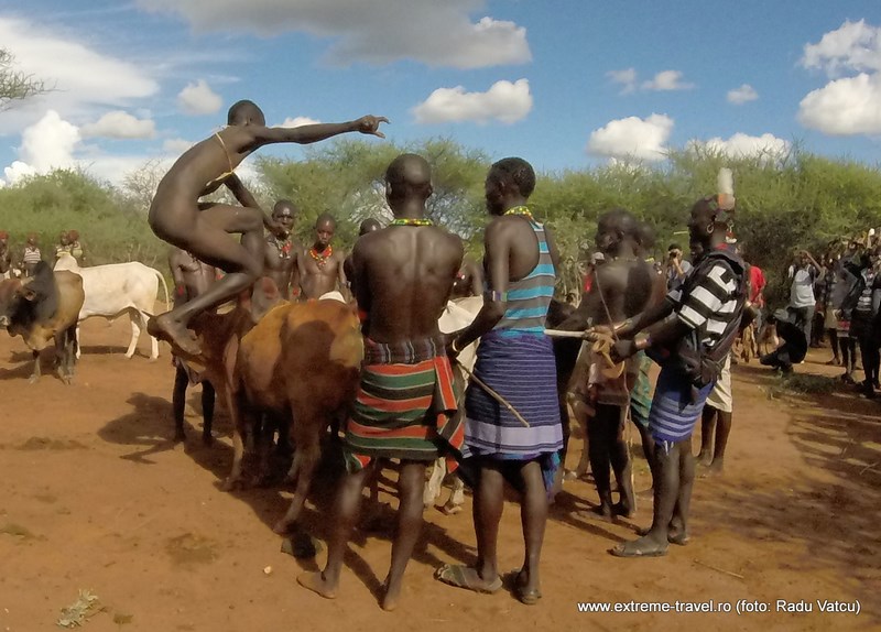 Bull Jumping Ceremony