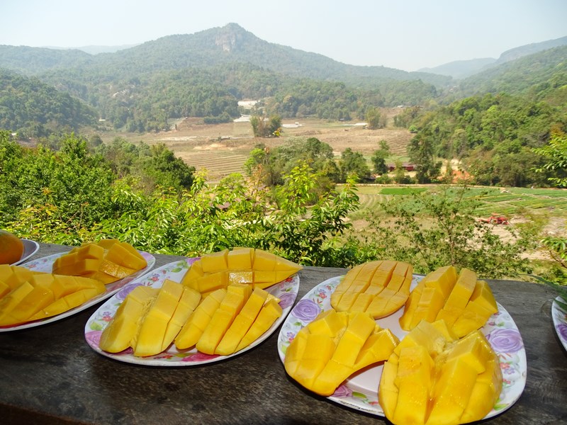 Mango