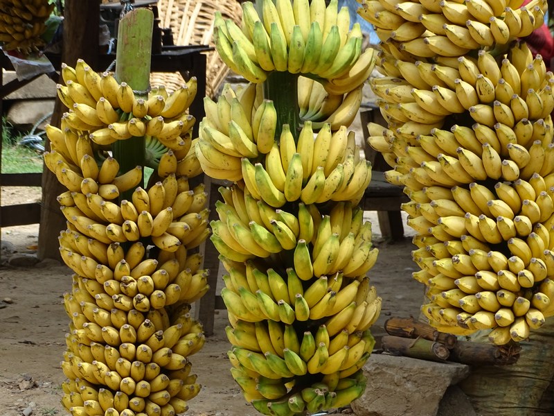 Banane