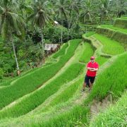 Bali Indonezia