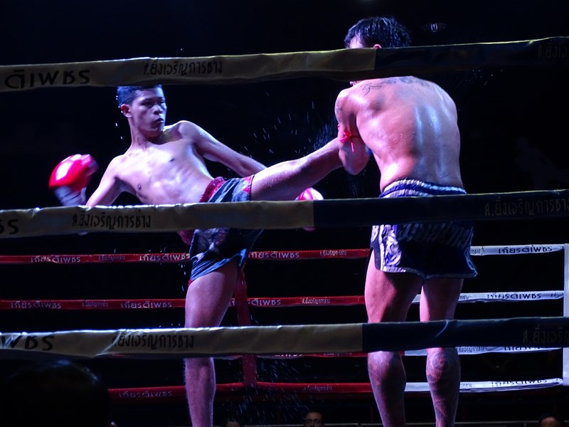 Box Thailandez