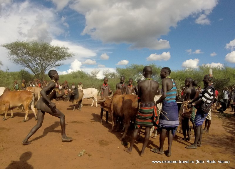Bull Jumping Ceremony