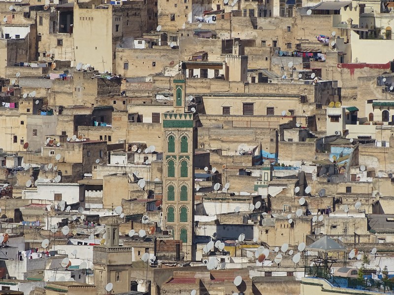 Medina Fez