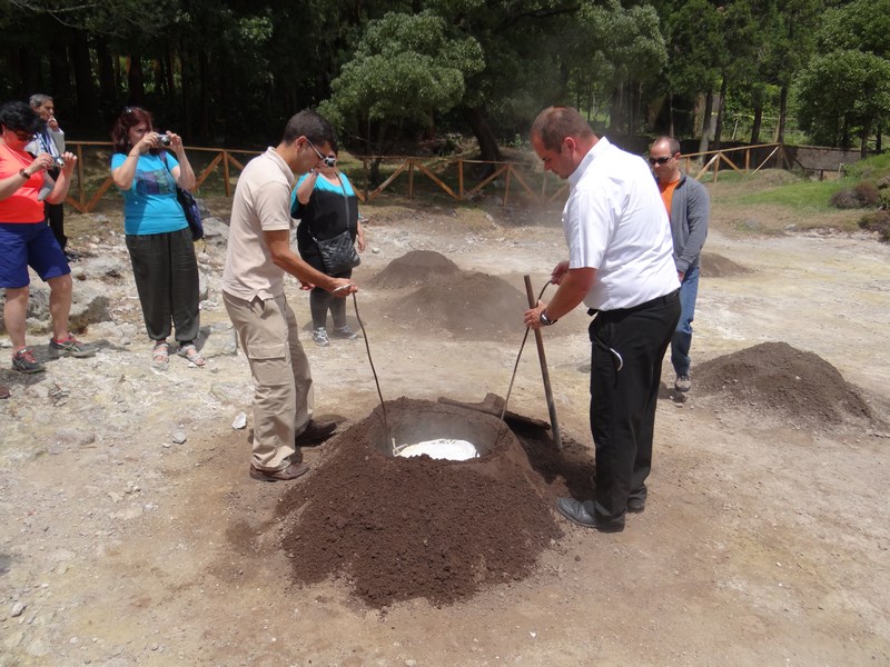 Mancare Gatita In Pamant