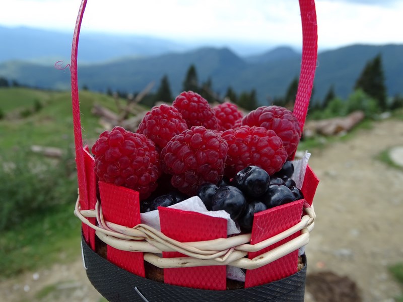 Fructe De Padure