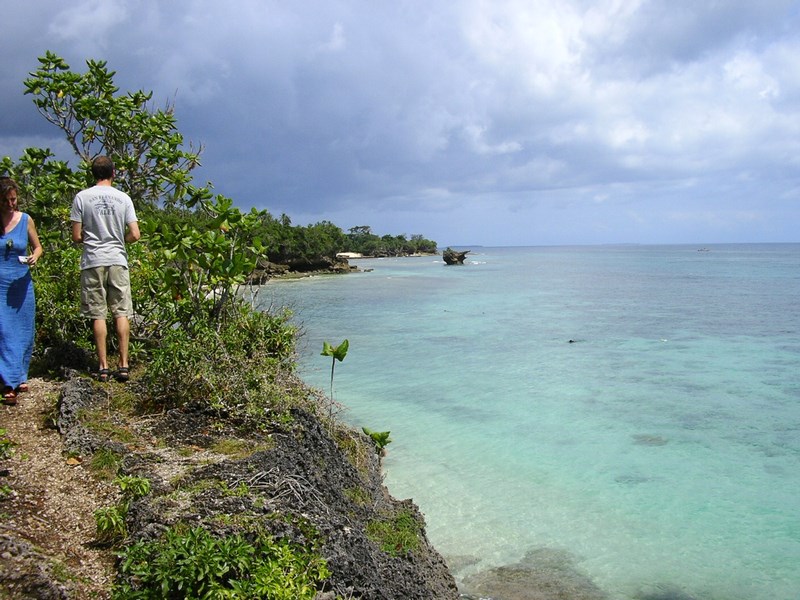 Mare In Zanzibar