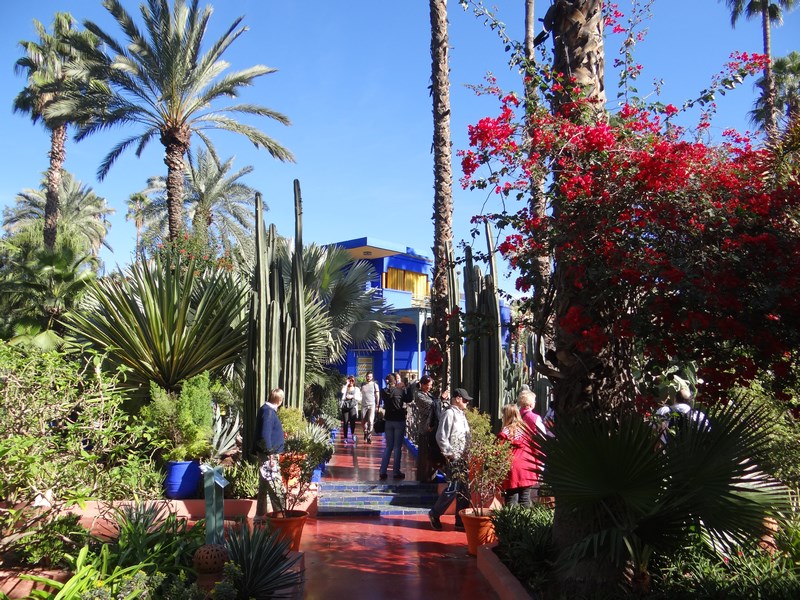 Majorelle Marrakech