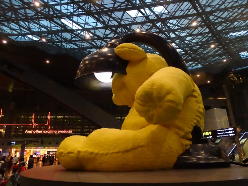 . Ursul Din Doha