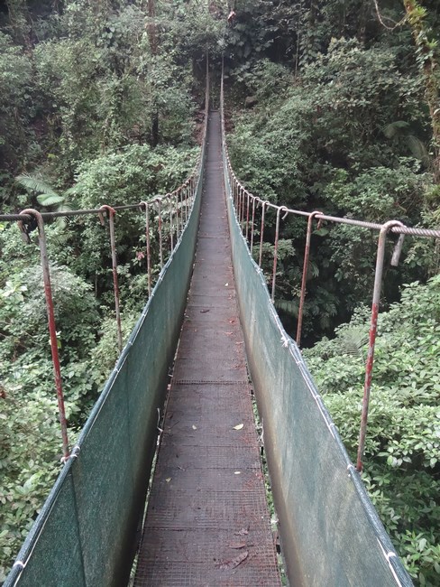 Poduri Costa Rica