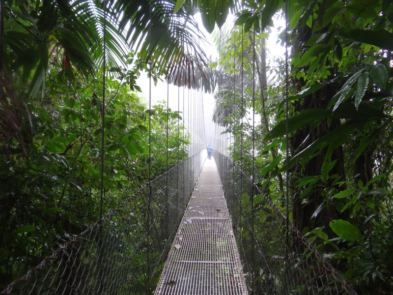 Hanging Bridges Arenal